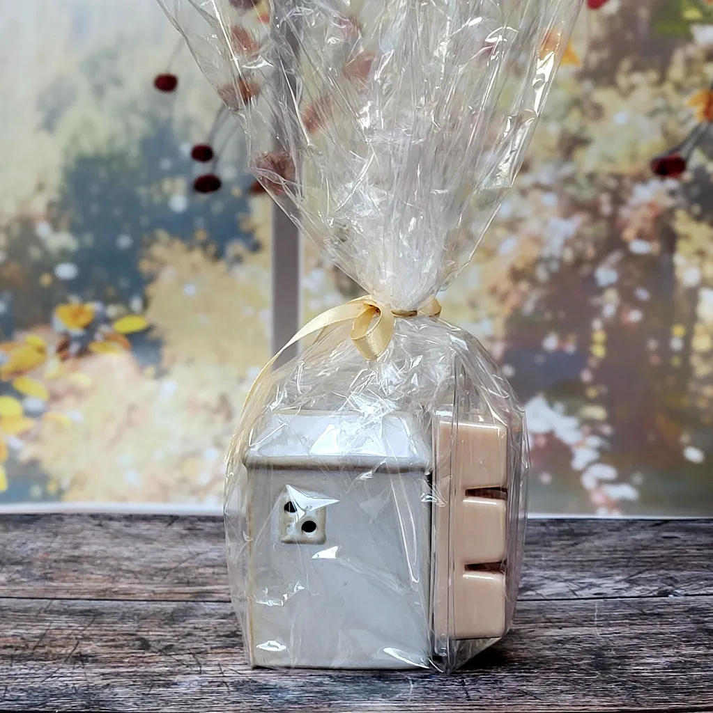 pack-cadeau-bruleur-fondants-jasmin-lumen-temporis-emballé2.webp