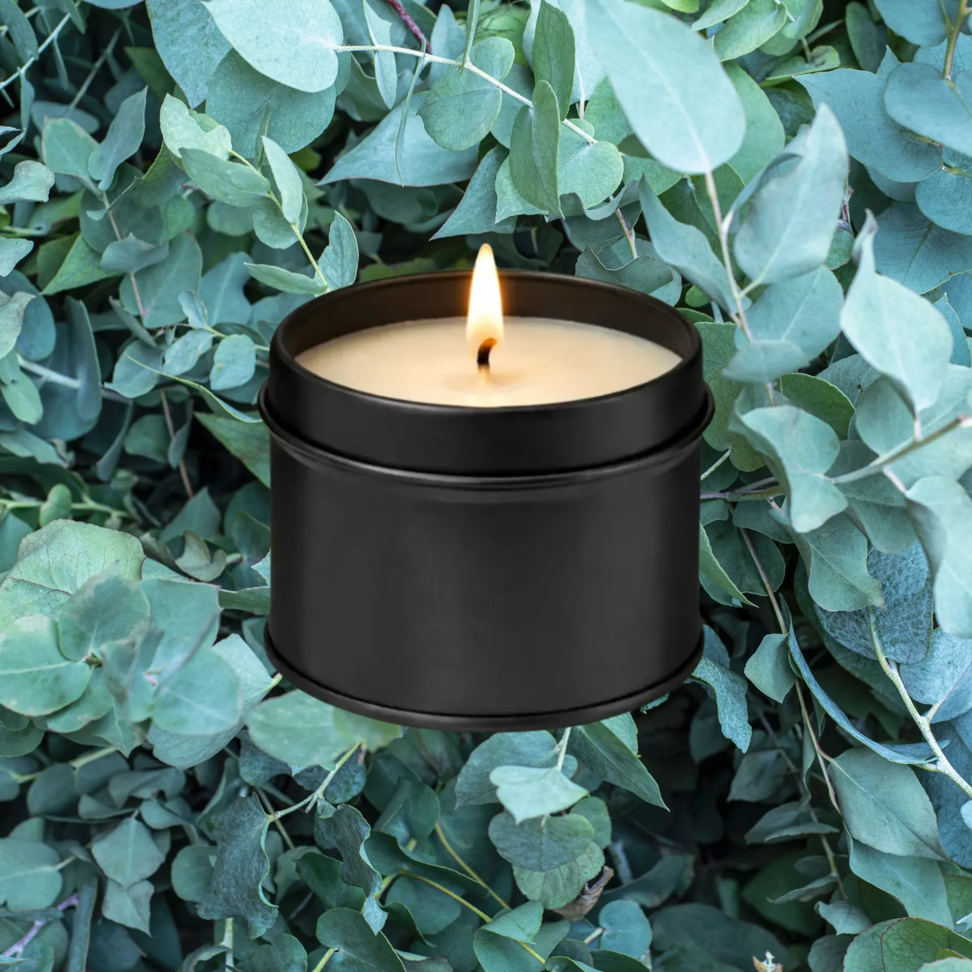Eucalyptus – Bougie parfumée artisanale