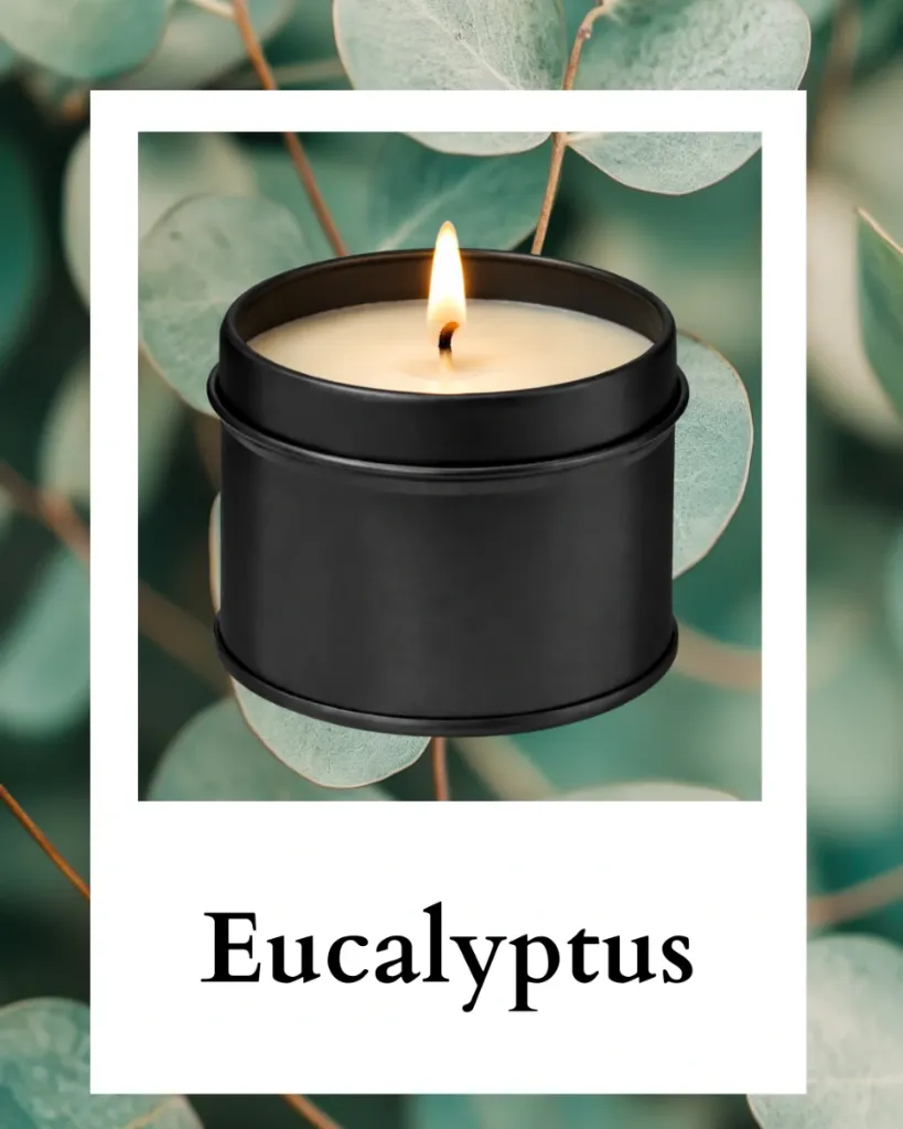 Eucalyptus – Bougie parfumée artisanale