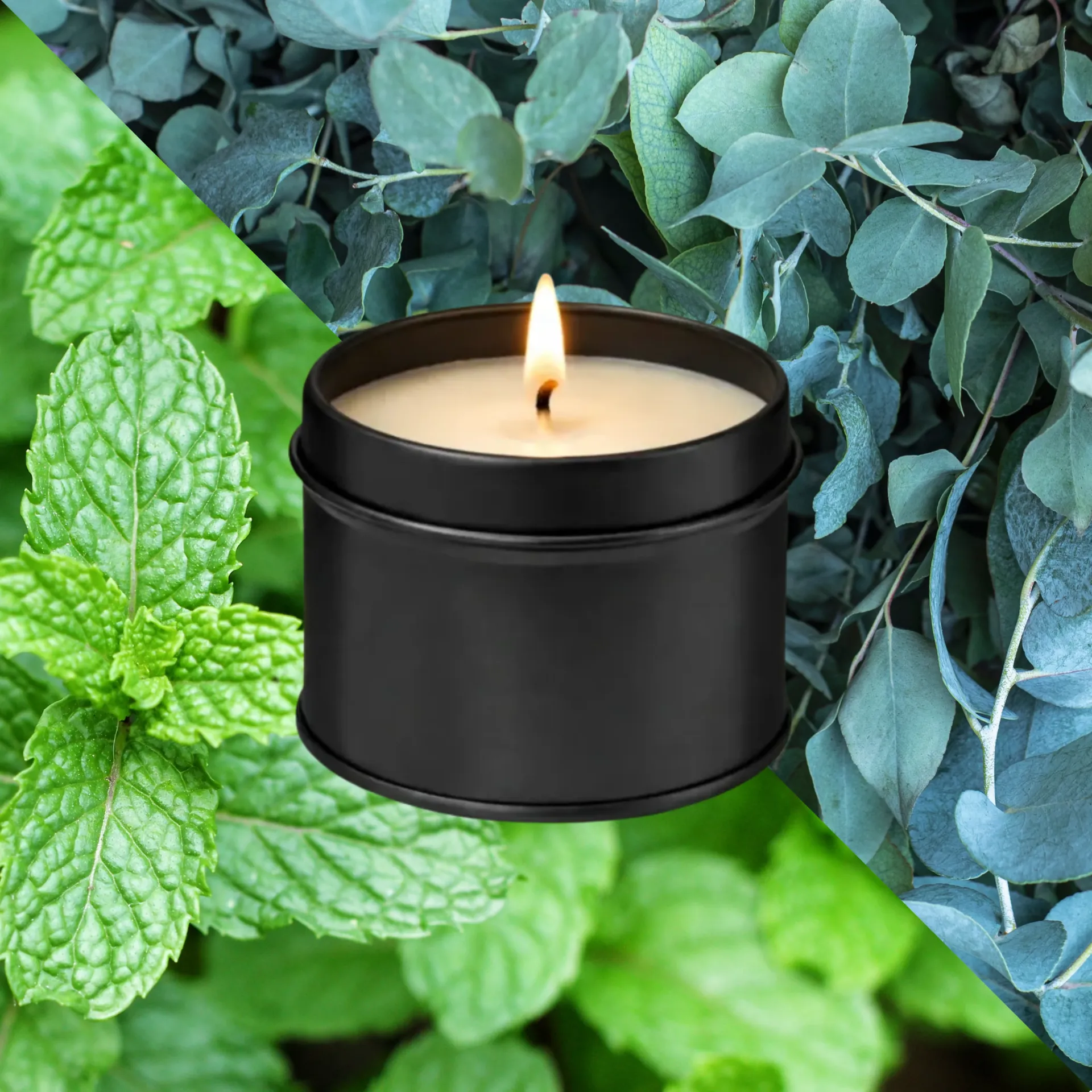 Menthe & Eucalyptus – Bougie parfumée artisanale (70 grammes / ~18 heures de combustion)
