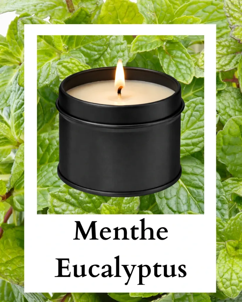 Menthe & Eucalyptus – Bougie parfumée artisanale