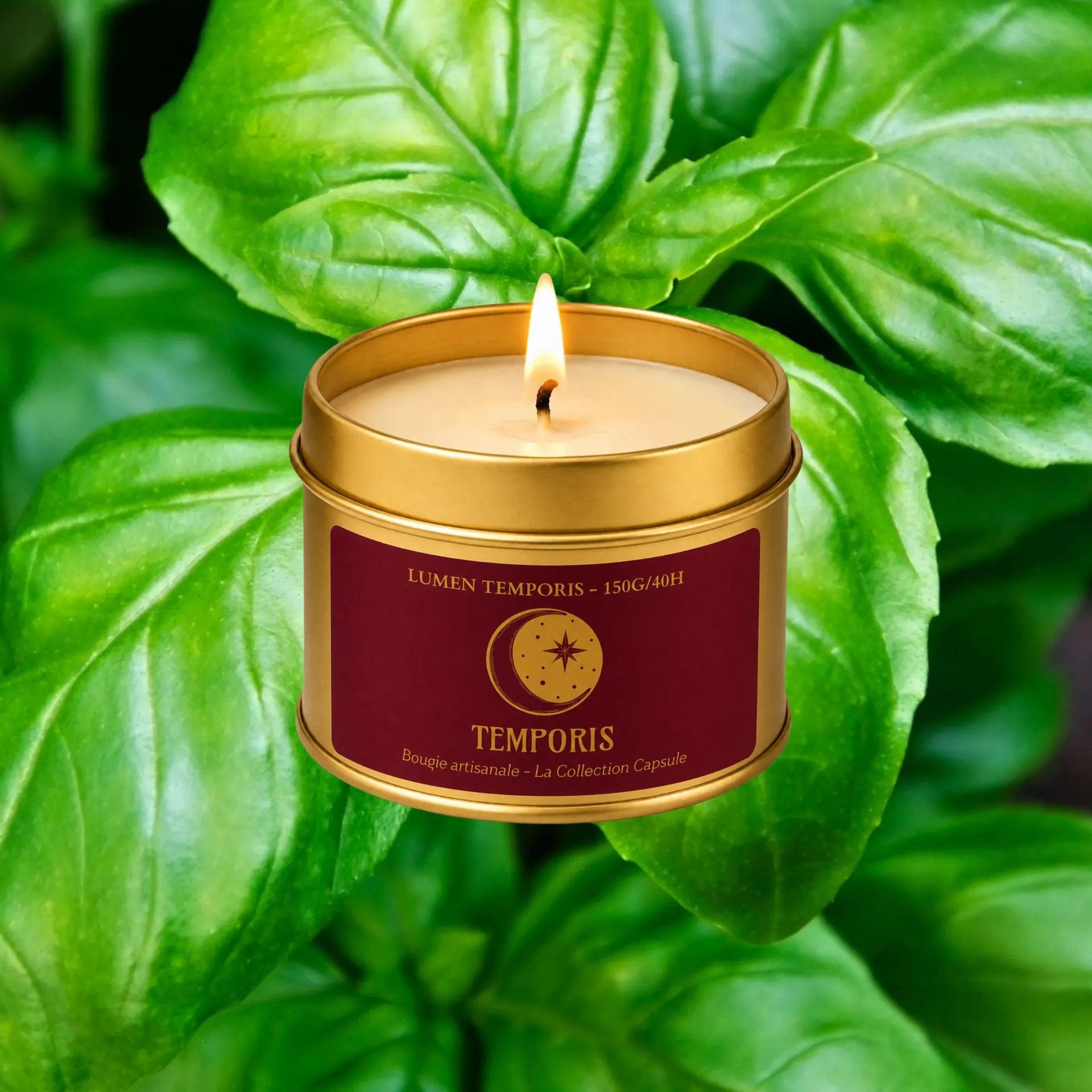 Basilic - Bougie parfumée artisanale