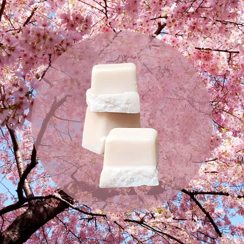Fondant Parfumé Fleur de Cerisier – Clamshell