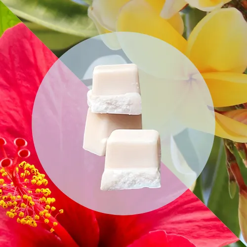 Fondant Parfumé Double Monoï & Hibiscus – Clamshell
