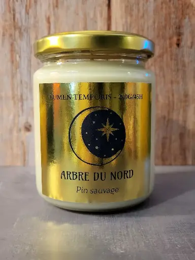 Bougie 'Arbre du Nord' – Pin Sauvage